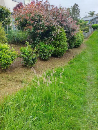 A combination of hand weeding, weed spraying and weed eating this garden.