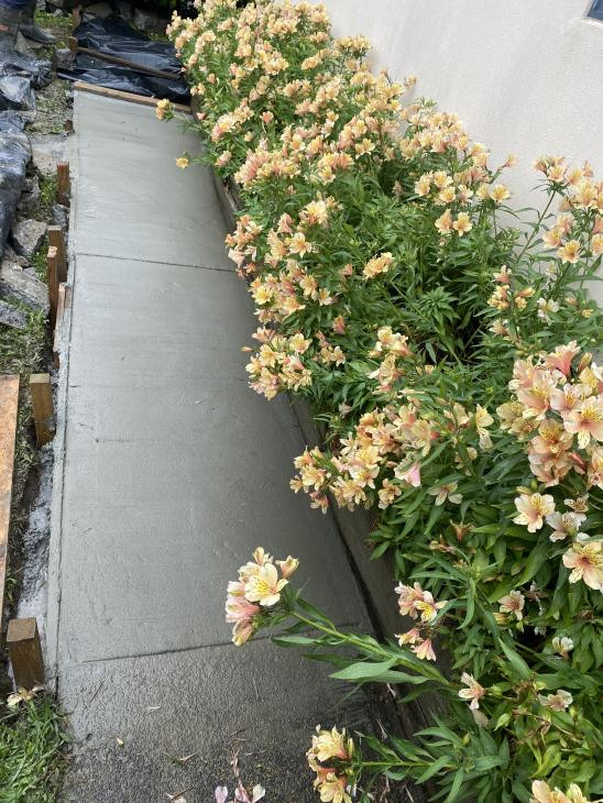 Removal and Placed New concrete