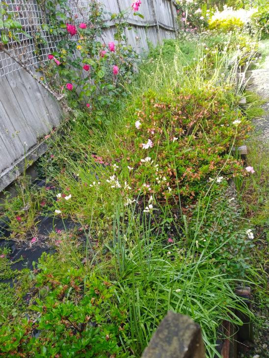 Before