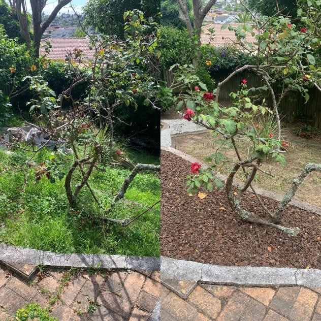 Before and after