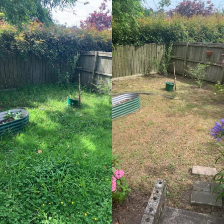 Before and after
