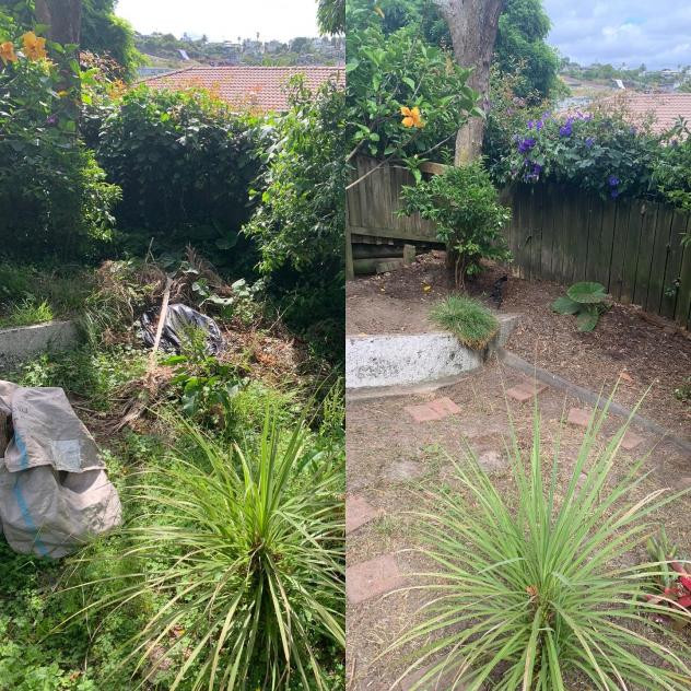 Before and after