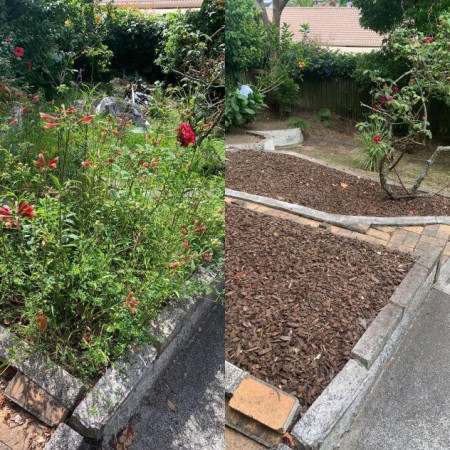 Before and after