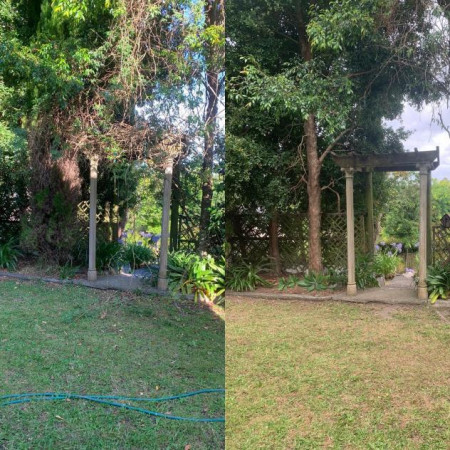 Before and after