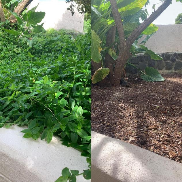 Before and after