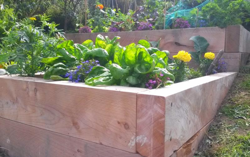 Raised vege bed