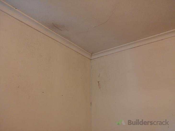 Clean mouldy carpet, walls and ceiling ( 128263) Builderscrack