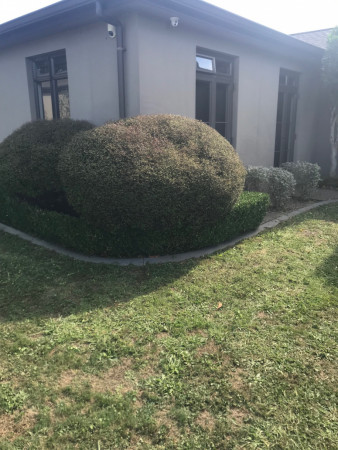 Topiary