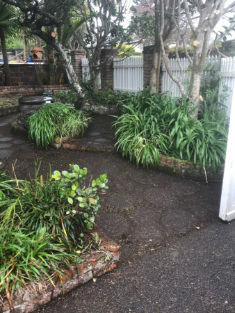 Mt Albert Gardening