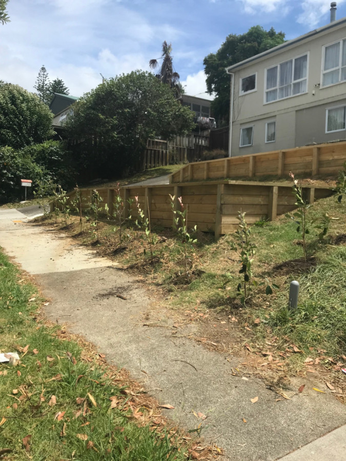 Boundary planting meadowbank