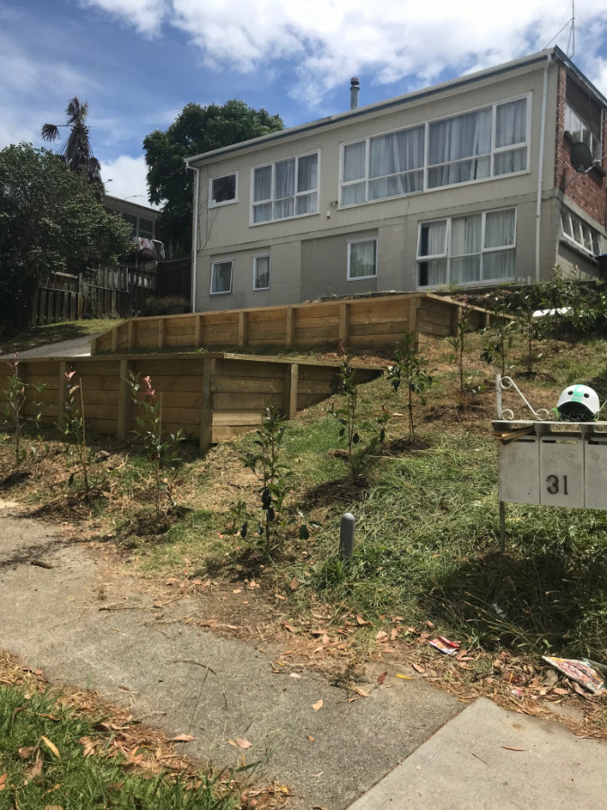 Boundary Planting Meadowbank