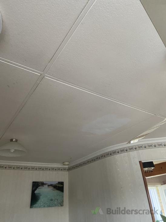 Repair / replace pinex softboard ceiling tile ( 729455) Builderscrack