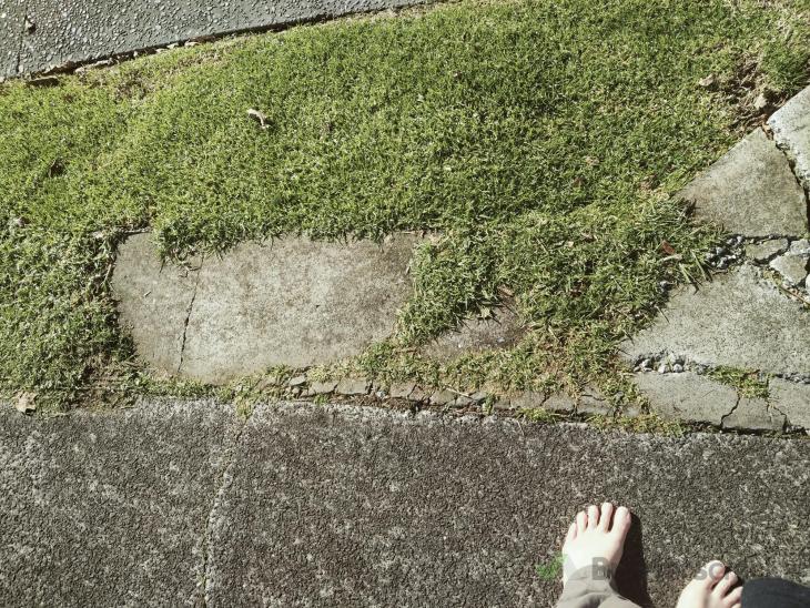 Gladstone Concrete ( 749064) Builderscrack